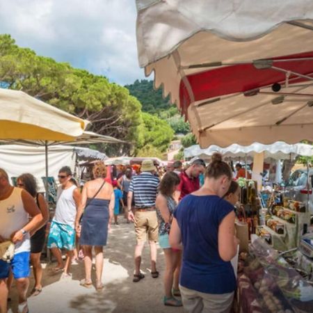 Magnifique Studio A 50M De La Plage De Cavaliere - Studio Tamarindo Le Lavandou Eksteriør billede