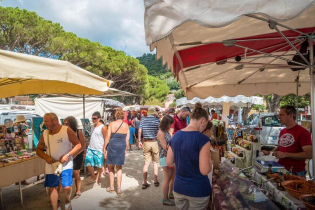 Magnifique Studio A 50M De La Plage De Cavaliere - Studio Tamarindo Le Lavandou Eksteriør billede