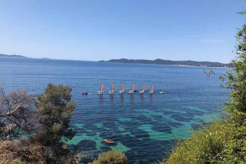 Magnifique Studio A 50M De La Plage De Cavaliere - Studio Tamarindo Le Lavandou Eksteriør billede