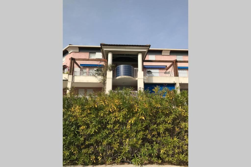 Magnifique Studio A 50M De La Plage De Cavaliere - Studio Tamarindo Le Lavandou Eksteriør billede