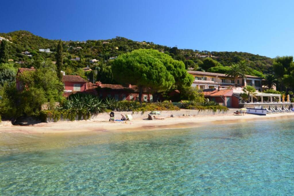 Magnifique Studio A 50M De La Plage De Cavaliere - Studio Tamarindo Le Lavandou Eksteriør billede