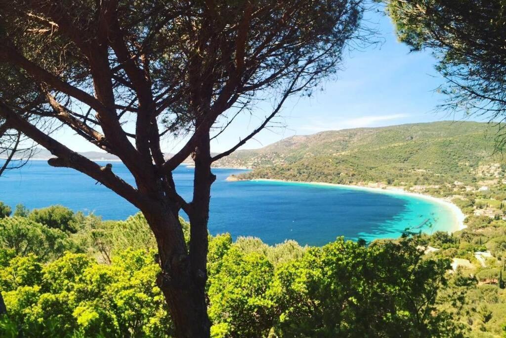 Magnifique Studio A 50M De La Plage De Cavaliere - Studio Tamarindo Le Lavandou Eksteriør billede