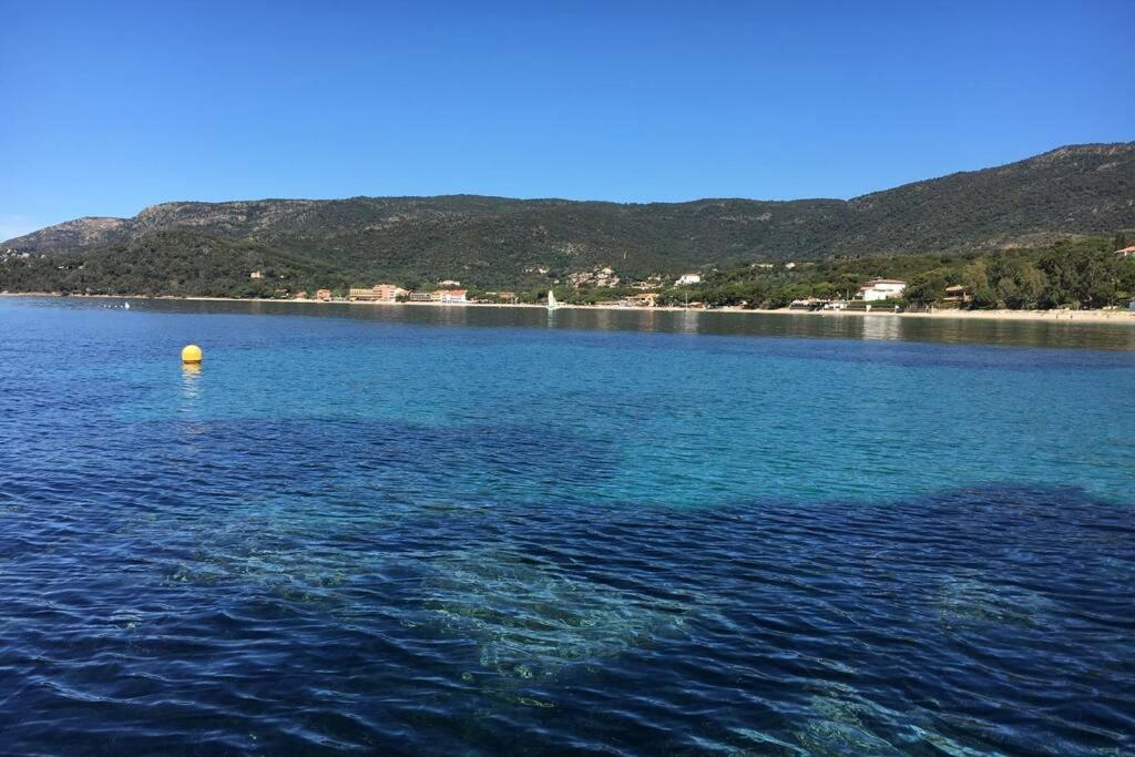 Magnifique Studio A 50M De La Plage De Cavaliere - Studio Tamarindo Le Lavandou Eksteriør billede