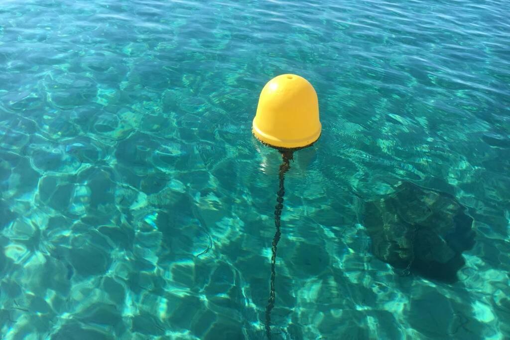 Magnifique Studio A 50M De La Plage De Cavaliere - Studio Tamarindo Le Lavandou Eksteriør billede