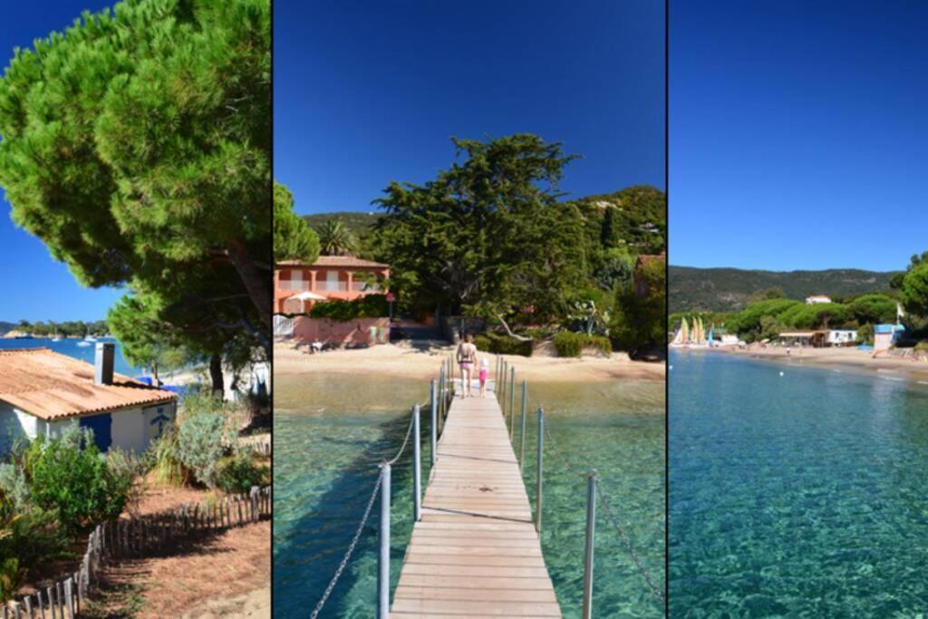 Magnifique Studio A 50M De La Plage De Cavaliere - Studio Tamarindo Le Lavandou Eksteriør billede